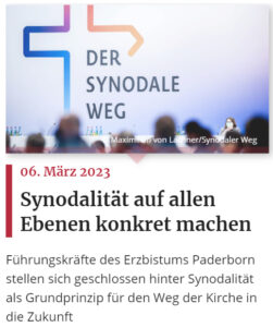 Read more about the article Synodalität auf allen Ebenen konkret machen